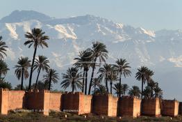 Image du Maroc Professionnelle de  Hormis les remparts de Marrakech qui sont construits entièrement en pisé selon une technique séculaire par l'Almoravide Ali Ben Youssef au début de XIIème siècle pour se protéger des attaques extérieures. La ville rouge dispose d’autres murailles qui protègent les parcs comme celle-ci qui clôturent les jardins de l'Agdal Ba Ahmed. Au fond la chaine de montagne du Haut Atlas enneigé surplombe la plaine du Haouz où de nombreux palmiers des jardins apportent à ce paysage un contraste très accentué, 3 Décembre 2012. (Photo / Abdeljalil Bounhar) 